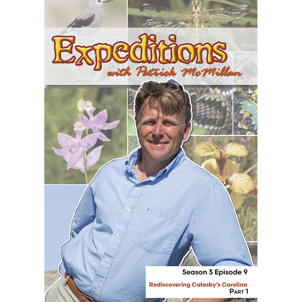 Expeditions with Patrick McMilian: Rediscovering Catesby’s Carolina, Part 1